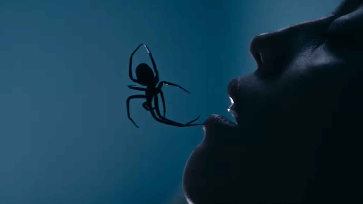 Tráiler de Crawlers: película con arañas asesinas