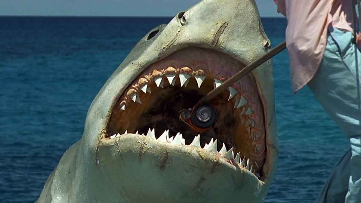 Director de terror quiere hacer una buena secuela de Tiburón